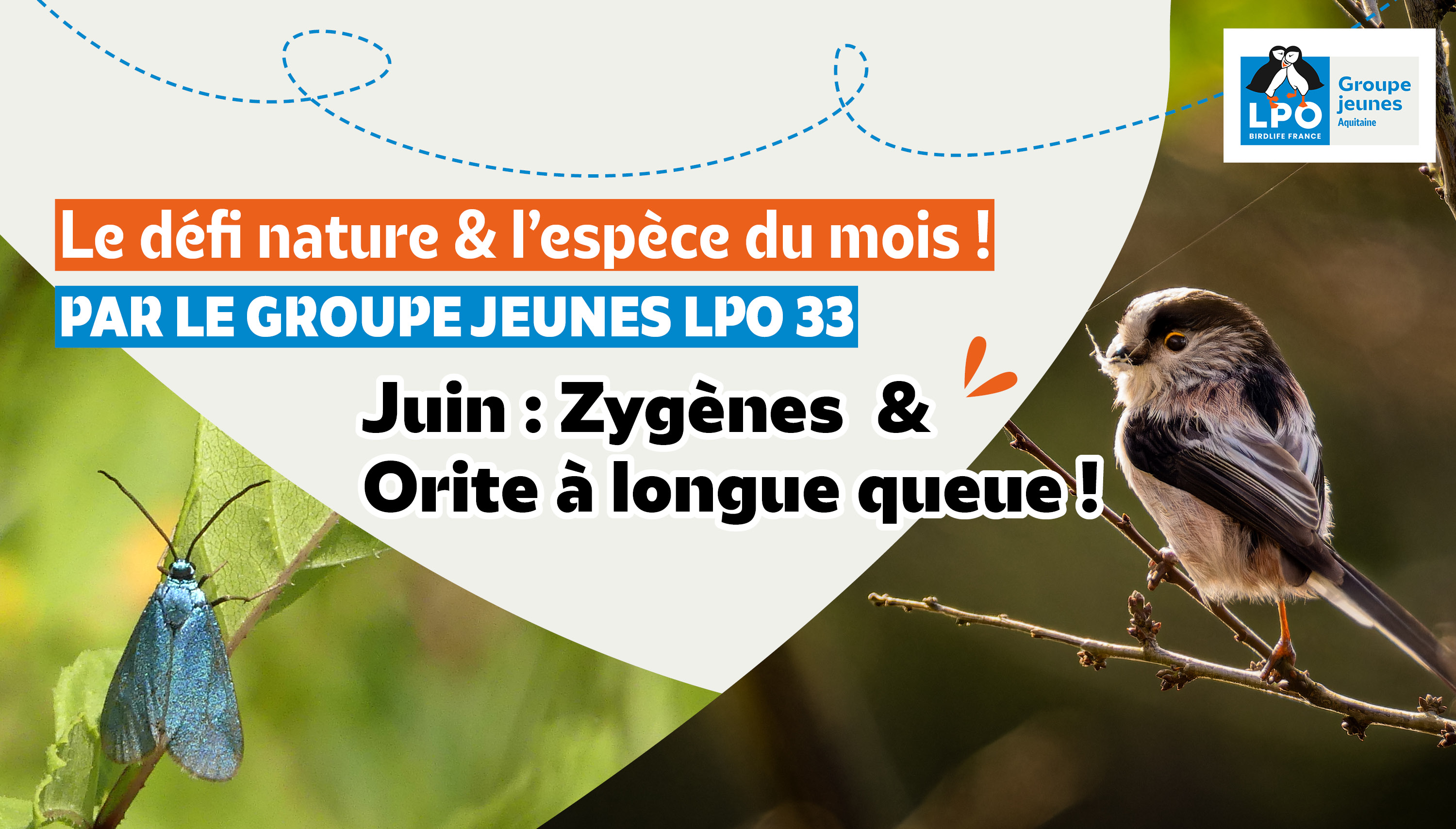 Défi nature & espèce du mois par le Groupe Jeunes 33 ! | Juin